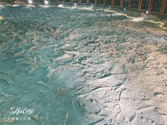 -二连浩特国家地质公园