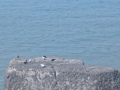 -白城沙滩