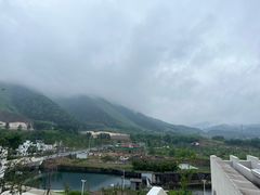 -中国宣纸文化园