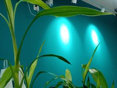 -梨园照相馆(北京店)