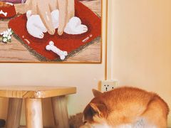 -喜柴咖啡·柴犬狗咖