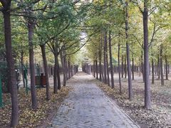 -汉景帝阳陵博物院