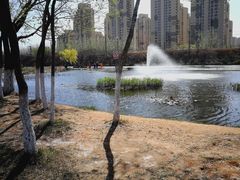 -前关湿地公园
