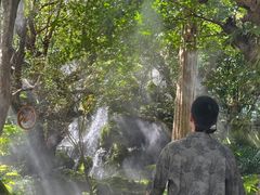 -Chom Cafe and Restaurant