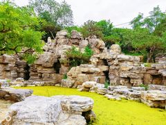 -莲花池公园