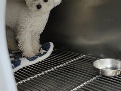 -宠颐生动物医院·小陆分院