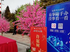 -黄村公园
