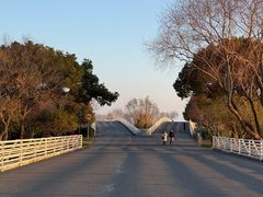 -贡湖湾湿地公园