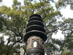 -普陀山风景名胜区-法雨禅寺