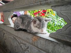 -龙姐私房菜(和顺古镇店)