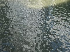 -成都市活水公园
