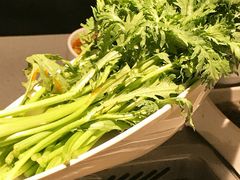 茼蒿-海底捞火锅(老城根店)