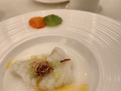 xo酱白玉蒸珍珠斑球-利苑酒家(合景国际金融广场店)