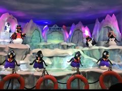 -帝企鹅自助餐厅•儿童岛•真企鹅(长隆企鹅酒店)