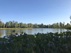 -东郊湿地公园