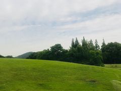 -上海佘山世茂艾美酒店