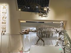 -国家自然博物馆