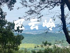 -风云岭森林公园