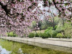 -元大都城垣遗址公园