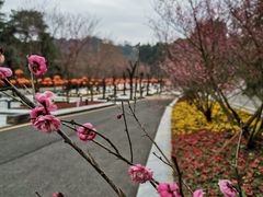 -阿哈湖国家湿地公园
