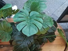 -霸王茶姬(正佳广场店)
