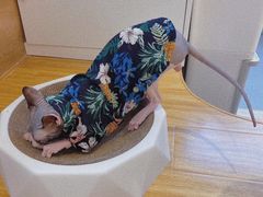 -啵啵喵·猫咖(攀华国际店)