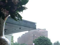 -大堂茶座