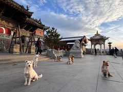 -五台山风景名胜区