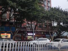 -舒小笼松针小笼包