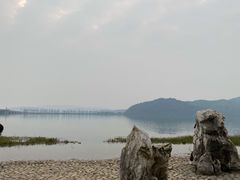 -东湖落雁景区