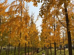 -汉长安城未央宫国家考古遗址公园