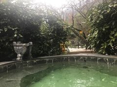 -黄山温泉国际旅游度假区