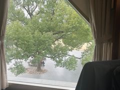 -御花园·粤菜·海鲜火锅(中山公园店)