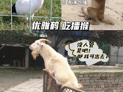 -保定市动物园