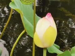 -昆山城市生态森林公园