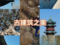 -迎泽公园