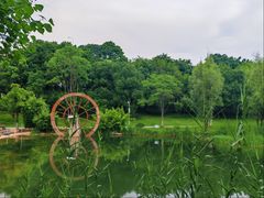 -洋湖国家湿地公园