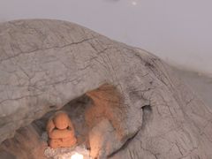 -苏州本色美术馆