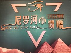 景点-辽宁省博物馆