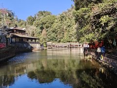 -云南屏边大围山国家公园