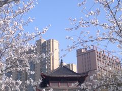 -堤角公园