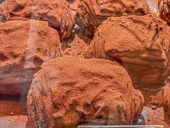 -OUR Bakery(SKP-S店)