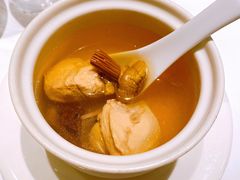 泉水菌菇鸡汤-觀芷隐轩