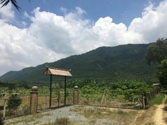 -开平碉楼文化旅游区马降龙景区