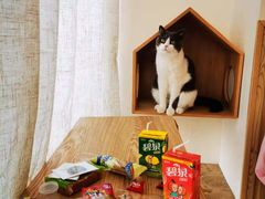 -Catmate·猫肥家润(金润铂宫店)