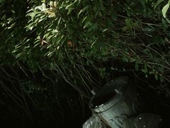 -麦积山温泉