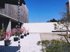 -南紀白浜 浜千鳥の湯 海舟