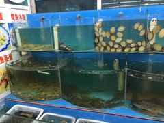 -日照大牌檔•小船海鲜(万平口店)