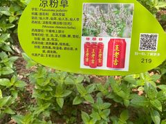 -广州神农草堂中医药博物馆