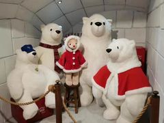 -济州岛泰迪熊博物馆